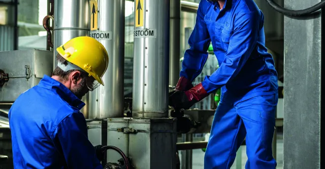 Alpha_multi_245_bleu_royal