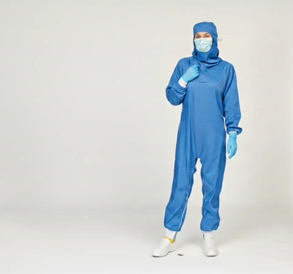 Collection Millénaire Salles Propres