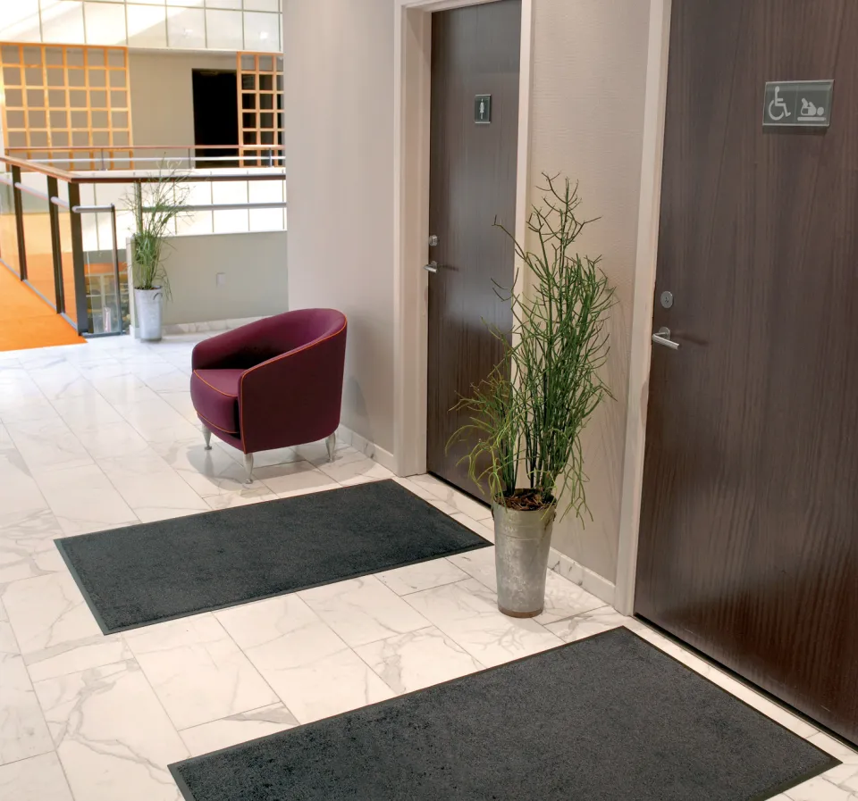 Tapis entrée commerce location netexial